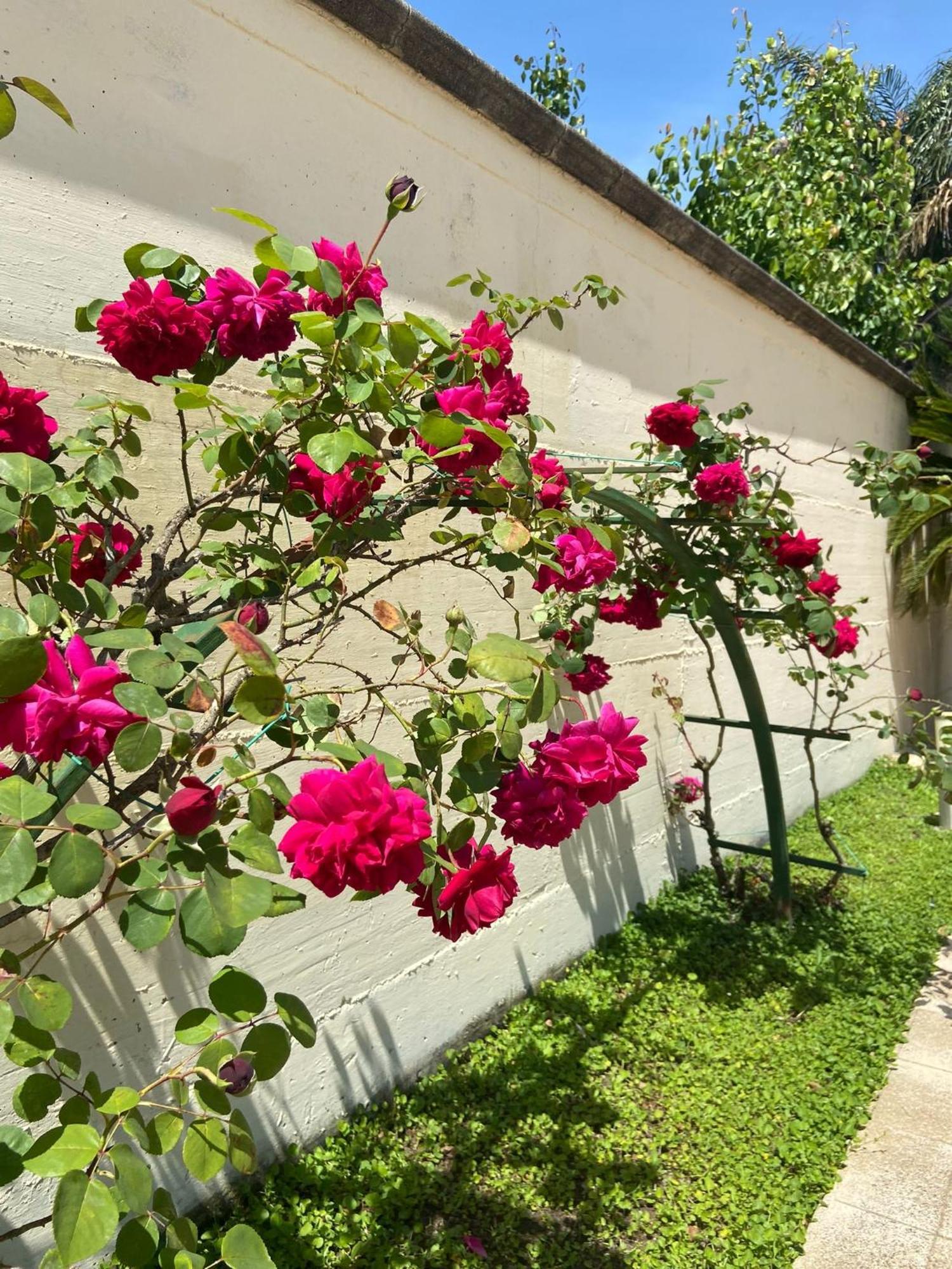Hotel Ginevra Poggiomarino Экстерьер фото