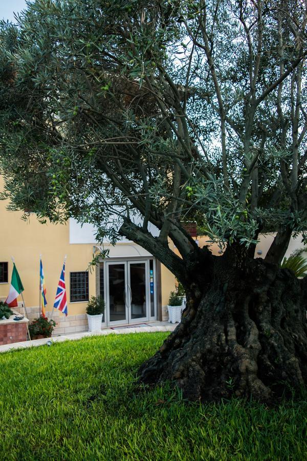 Hotel Ginevra Poggiomarino Экстерьер фото